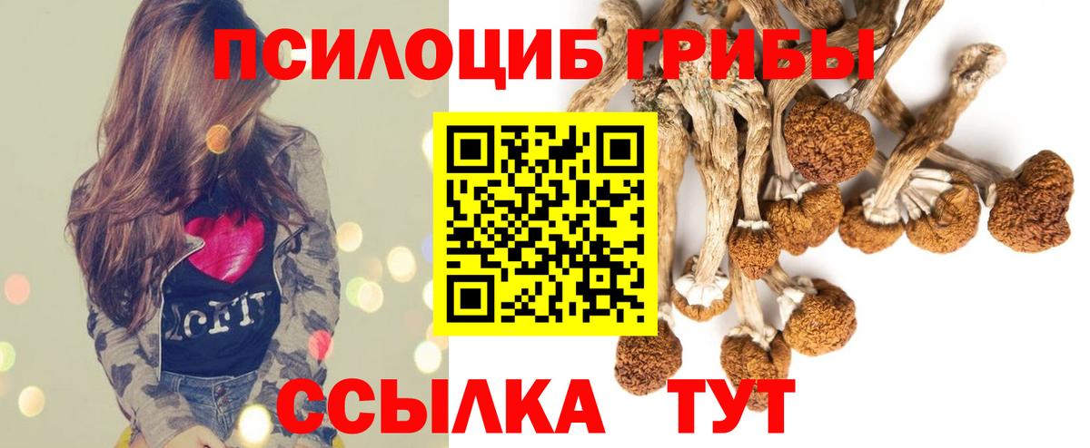 Галлюциногенные грибы Magic Shrooms  Вход с VPN  Красноармейск 